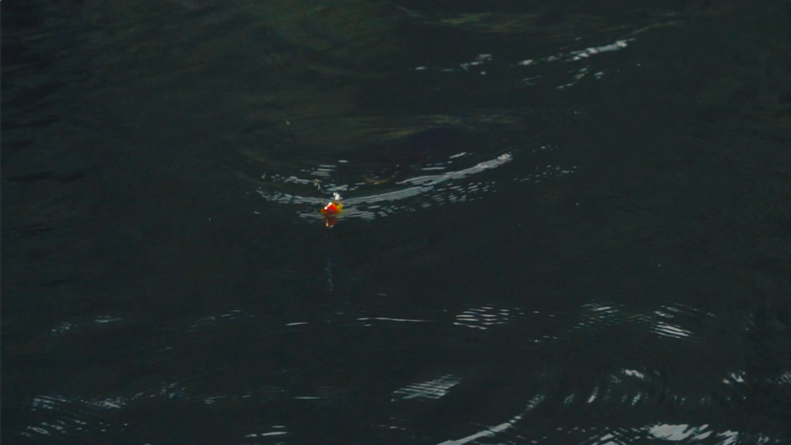 Wollaston Lake Lodge Catch a Memory That Lasts a Lifetime