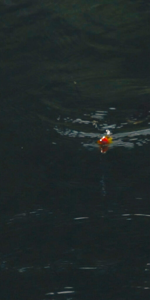 Wollaston Lake Lodge Catch a Memory That Lasts a Lifetime